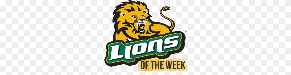 Southeastern Louisiana University Athletics, Animal, Lion, Mammal, Wildlife Png