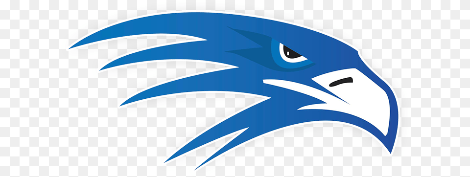 Southeastern Regional Vocational Technical High School, Animal, Beak, Bird, Eagle Png