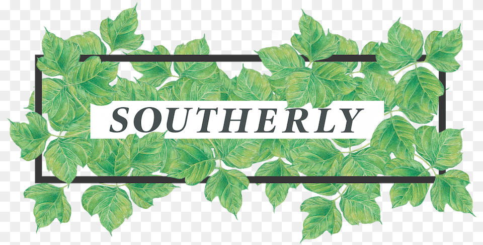 Southerly, Green, Herbal, Herbs, Plant Free Png