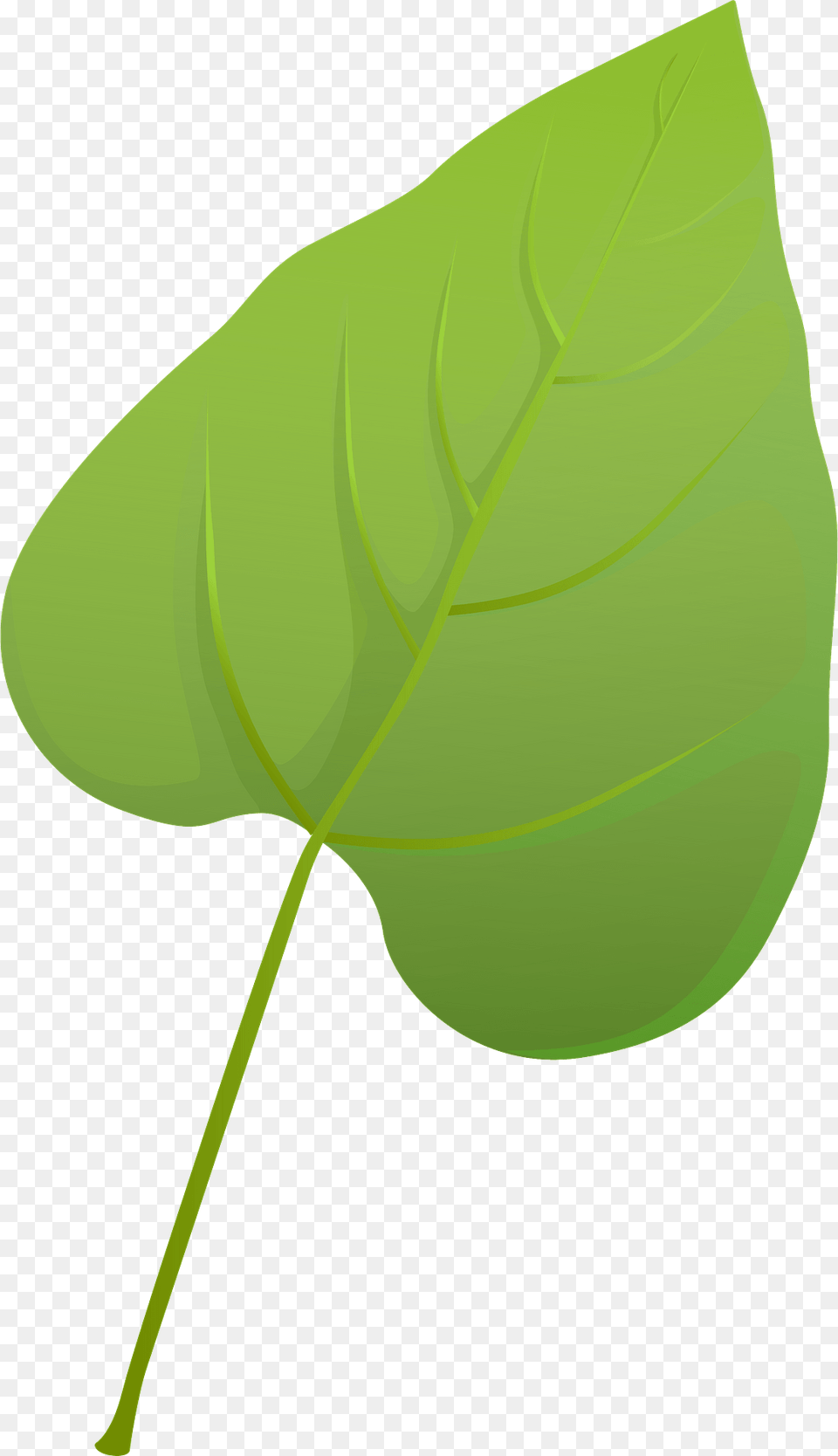 Southern Catalpa Green Leaf Clipart, Plant, Tree, Animal, Fish Free Png