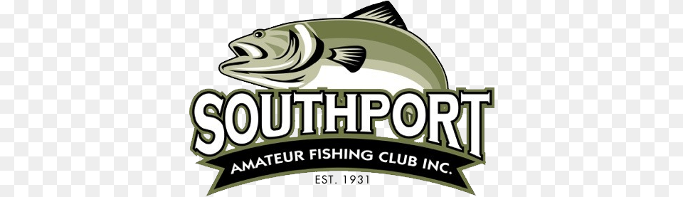 Southport Amateur Fishing Club Trout, Animal, Sea Life, Fish Png