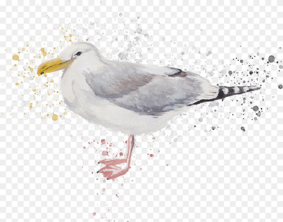 Southport Travel Zine European Herring Gull, Animal, Beak, Bird, Seagull Free Png