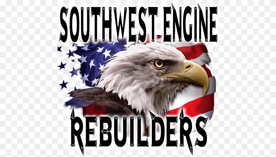 Southwest Engine Rebuilders Bald Eagle, Animal, Bird, Beak Free Transparent Png