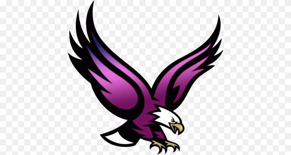 Southwest Miami Senior High, Animal, Bird, Eagle, Beak Free Png