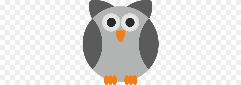 Sowa Animal, Beak, Bird, Owl Free Transparent Png