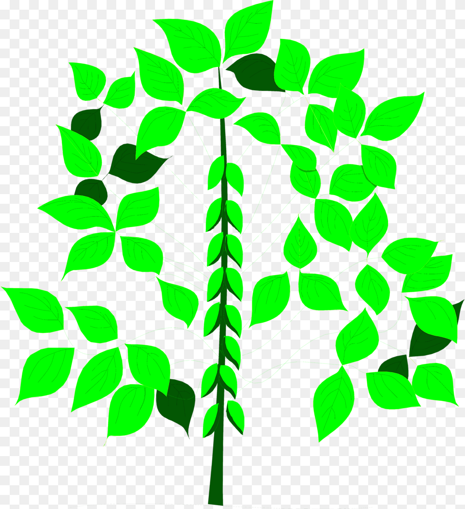 Soy Bean Stock Photo Illustration Of Li 6400 Li Cor, Green, Leaf, Plant Png