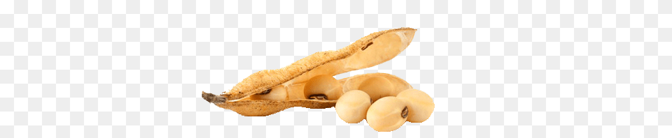 Soy Beans And Pod, Food, Produce, Bean, Plant Free Transparent Png