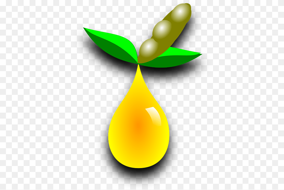 Soy Fuel Bean Oil Biodiesel, Leaf, Droplet, Plant, Produce Free Transparent Png