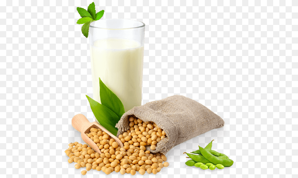 Soy Milk, Bean, Food, Plant, Produce Free Transparent Png