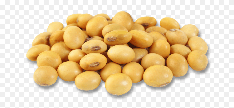 Soybean, Bean, Food, Plant, Produce Png