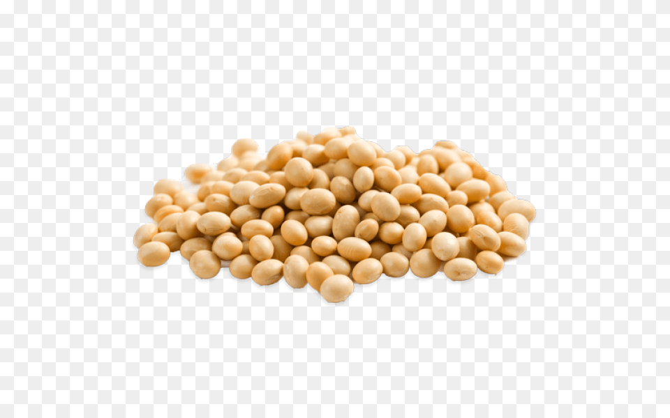 Soybean, Bean, Food, Plant, Produce Png Image