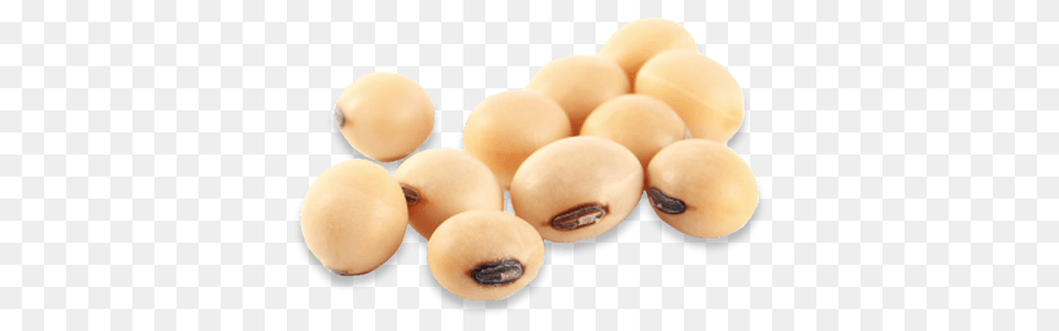 Soybean, Bean, Food, Plant, Produce Png