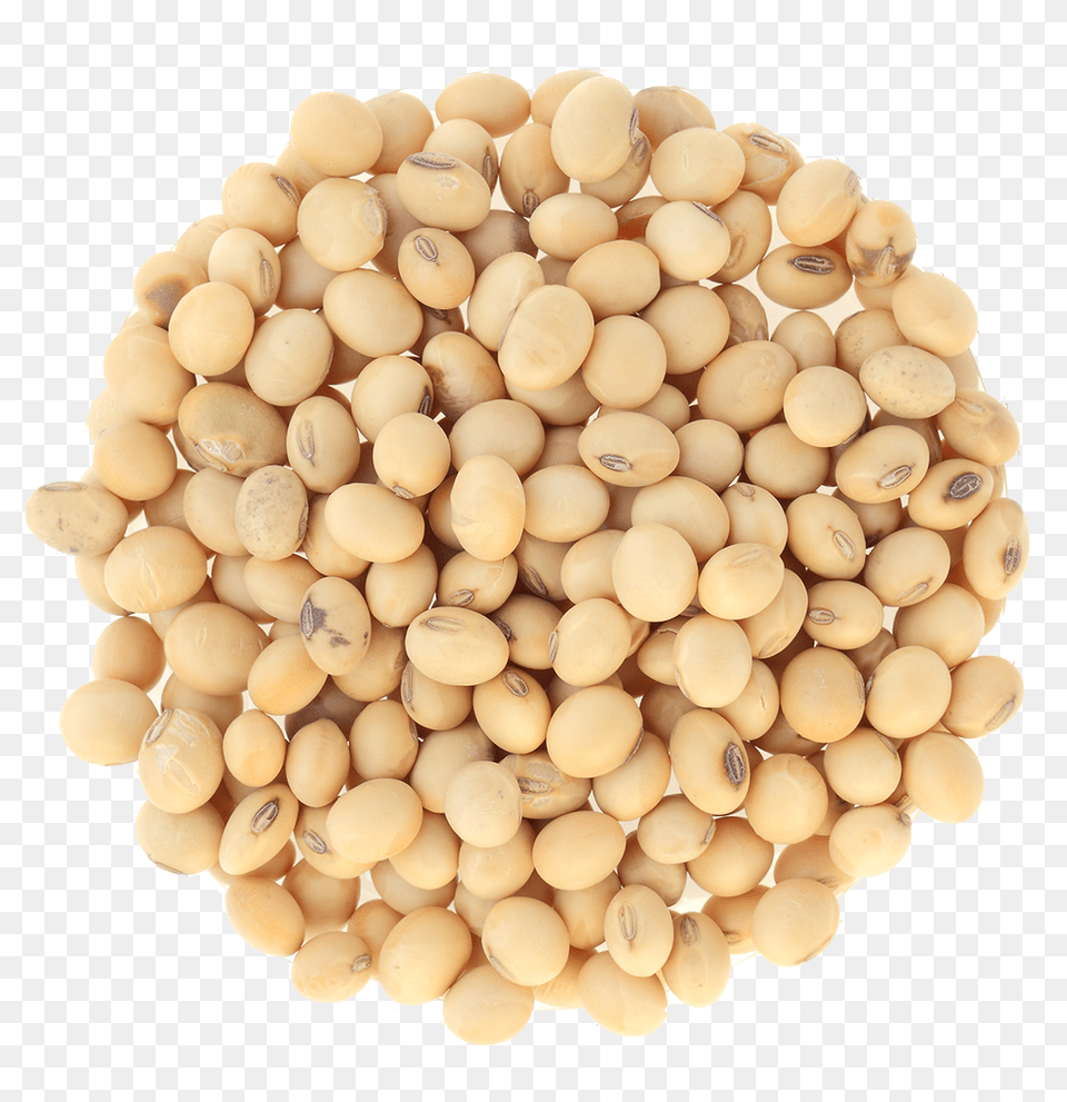 Soybean, Bean, Food, Plant, Produce Png Image