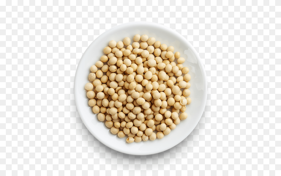 Soybean, Bean, Food, Plant, Produce Free Transparent Png