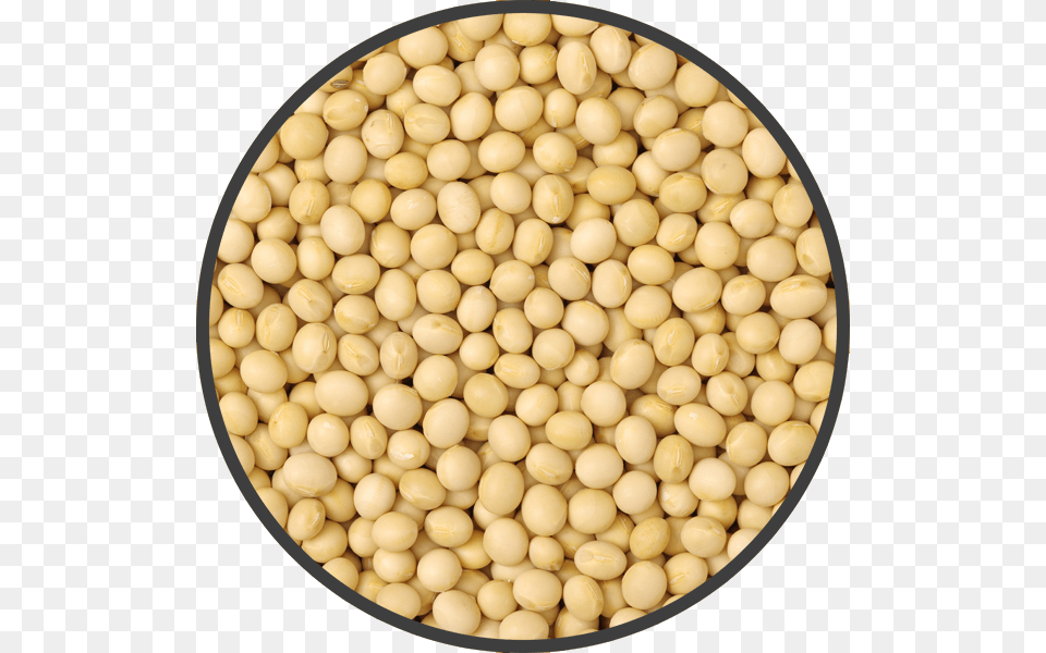 Soybean, Bean, Food, Plant, Produce Free Png