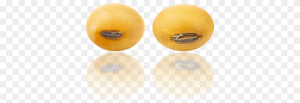 Soybean, Food, Fruit, Plant, Produce Free Transparent Png