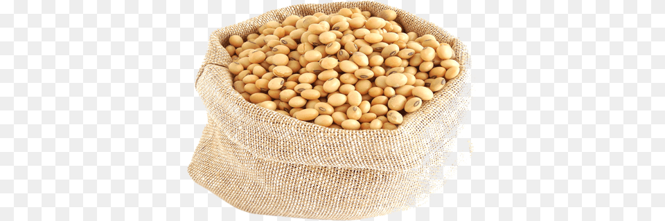 Soybean, Bag, Bean, Food, Plant Png Image