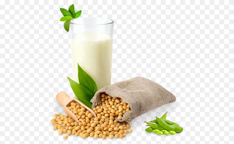 Soybean, Bean, Food, Plant, Produce Free Png