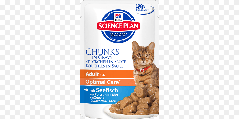 Sp Feline Science Plan Adult With Ocean Fish Hill39s Science Plan Cat, Animal, Mammal, Pet, Food Free Png