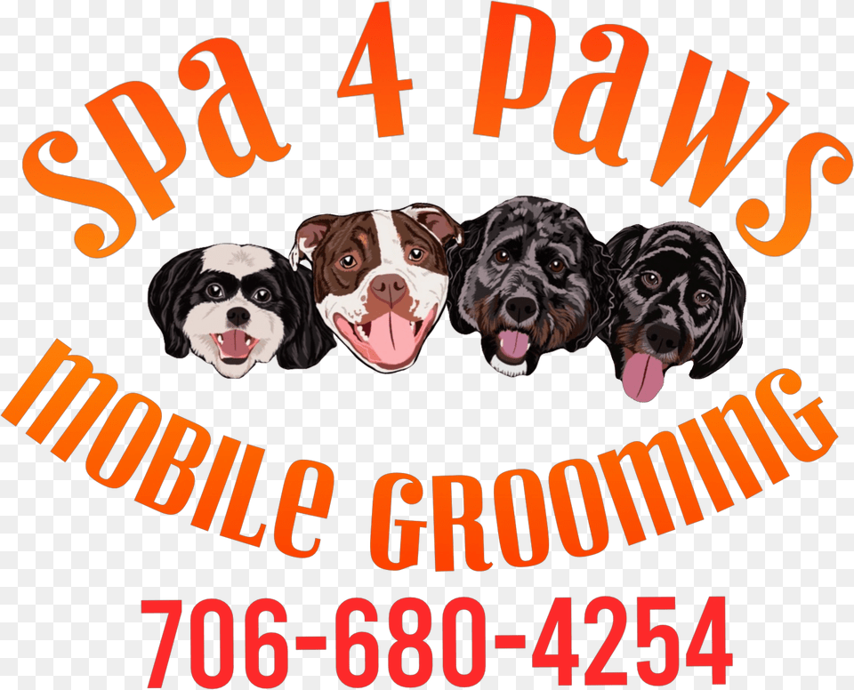 Spa 4 Paws Mobile Grooming Language, Animal, Canine, Dog, Mammal Png