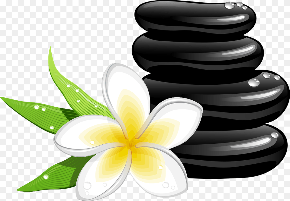 Spa Cosmetology Massage Clip Art Spa Clipart, Graphics, Plant, Pattern, Flower Free Png Download