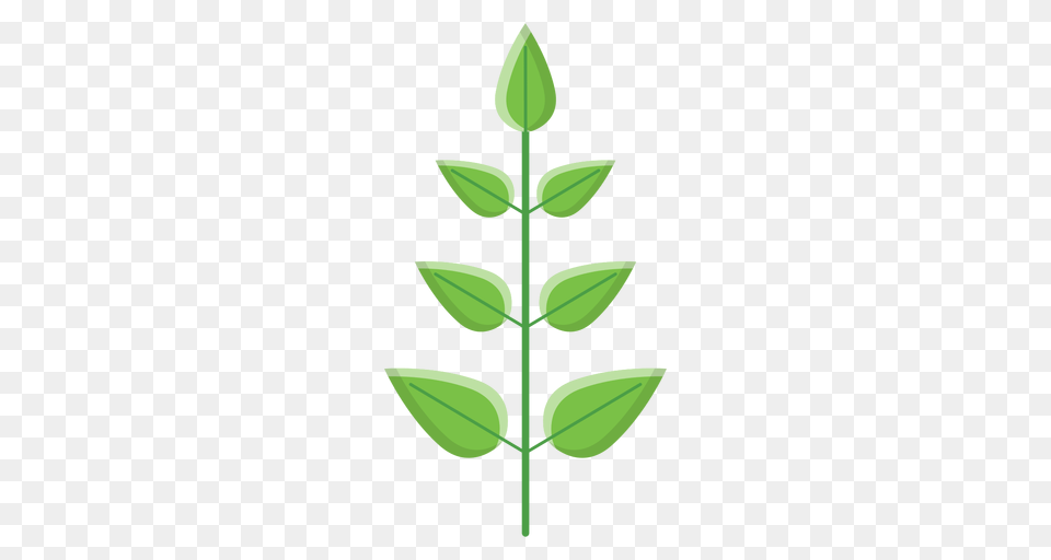 Spa Leaves Icon, Herbal, Herbs, Leaf, Plant Free Png Download