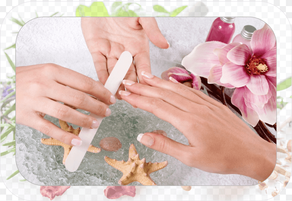 Spa Manicure Nail Salon Gt Elisabeth Richeza Of Poland, Body Part, Hand, Person, Medication Png Image