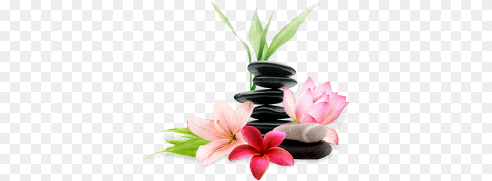 Spa Spa, Flower, Pottery, Plant, Petal Free Png Download