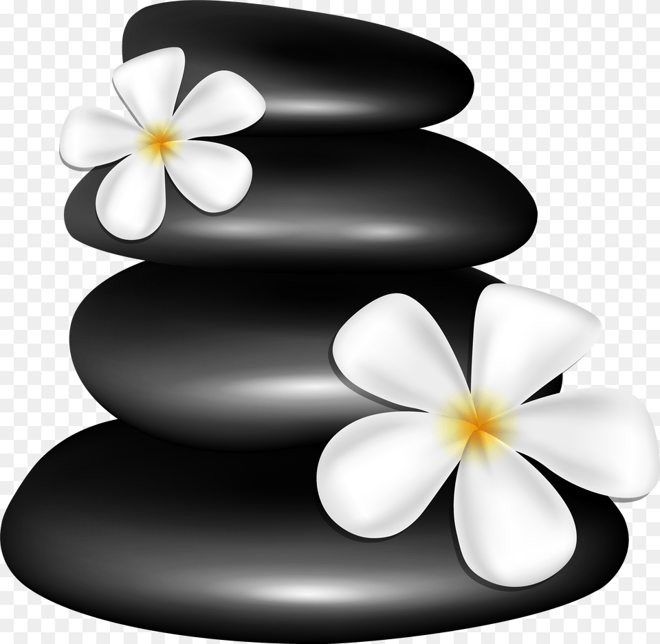 Spa Stones With White Flowers Clipart Image Spa Clipart, Anemone, Flower, Petal, Plant Free Transparent Png
