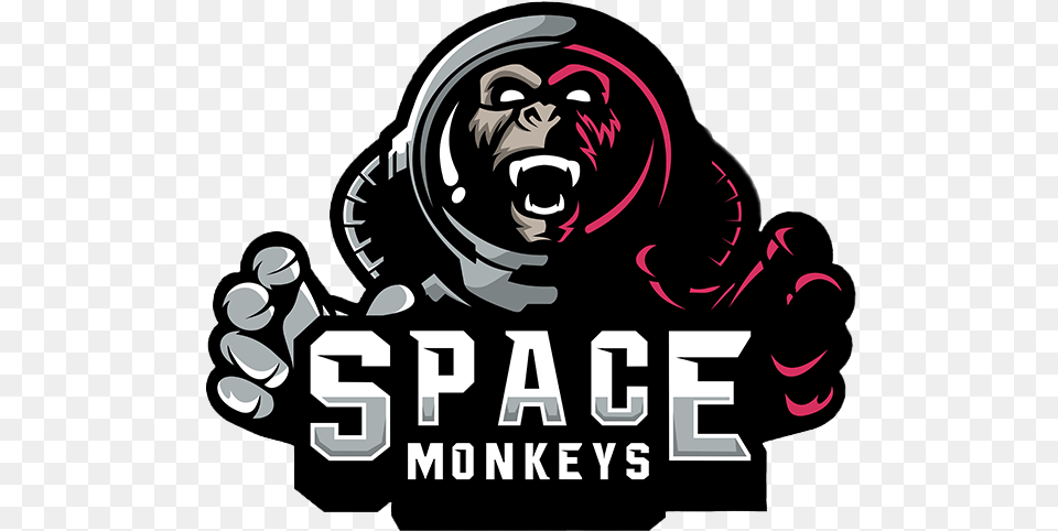 Space Monkeys Space Monkeys, Animal, Ape, Mammal, Wildlife Png