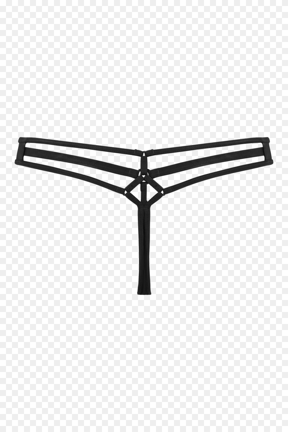 Space Odyssey Indian Camellia Thong, Clothing, Underwear, Lingerie, Panties Png
