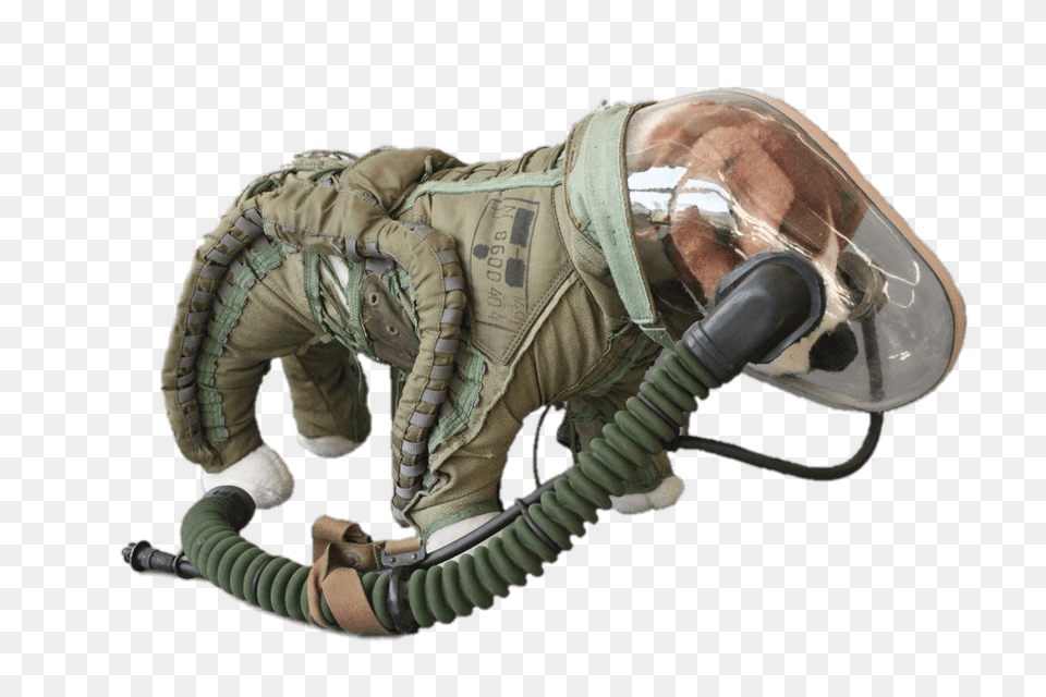 Space Suit For Dogs, Helmet, Adult, Male, Man Png