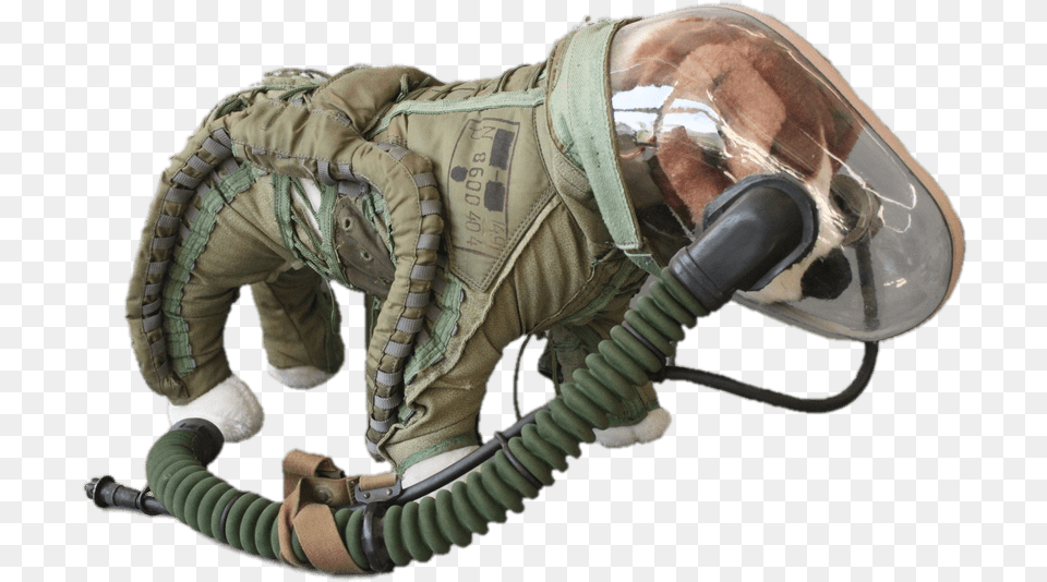 Space Suit For Dogs Dog Space Suit, Helmet, Adult, Male, Man Png