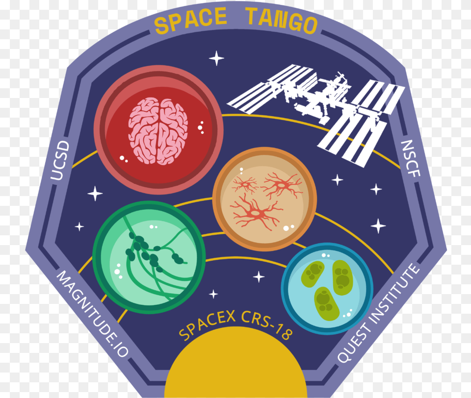 Space Tango Whatu0027s Flying A Look Circle, Badge, Logo, Symbol, Disk Png Image