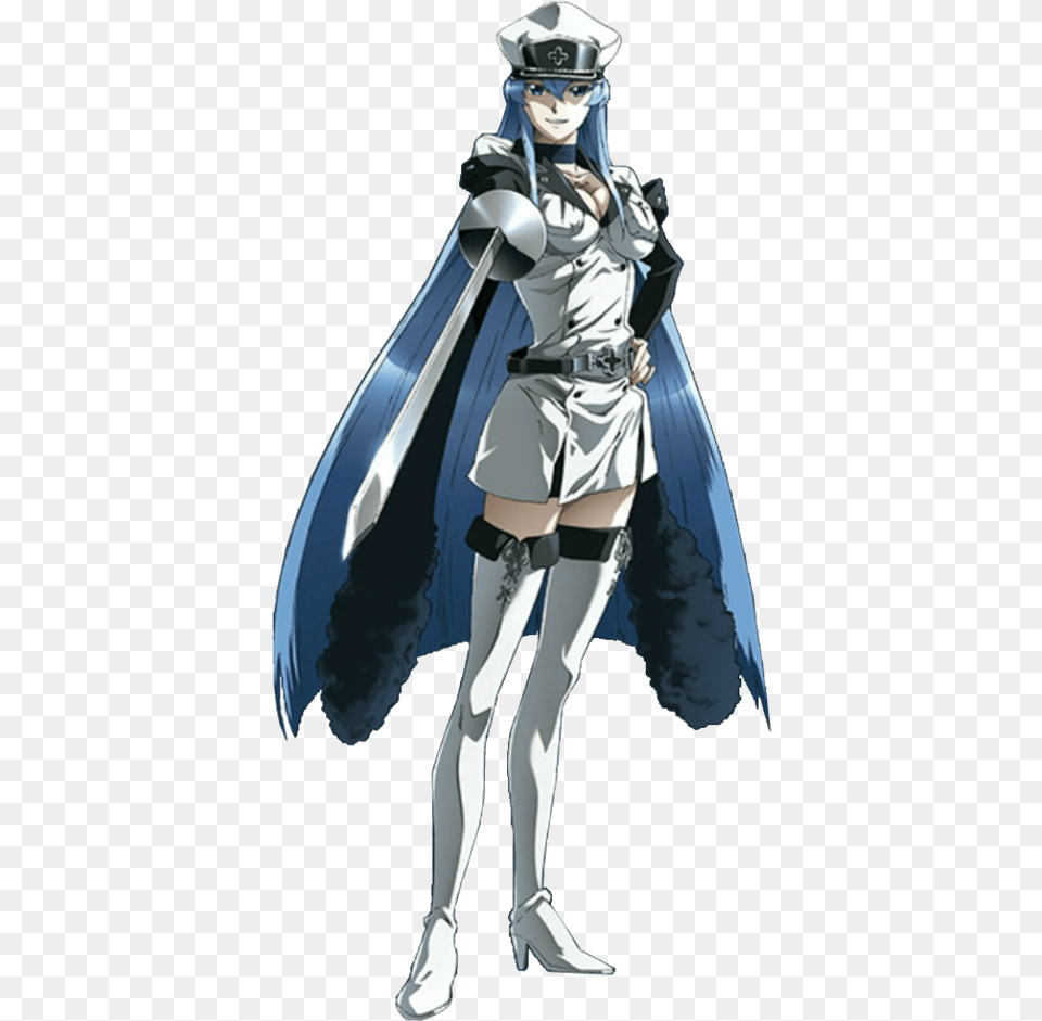 Spacebattles Forums Akame Ga Kill Esdeath Full Body, Book, Publication, Comics, Adult Free Png Download