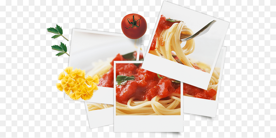Spaghetti, Food, Pasta, Lunch, Meal Free Png