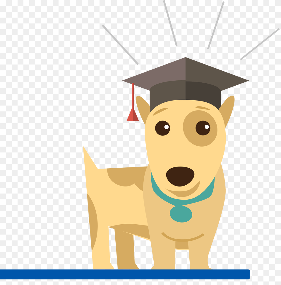 Spain Impactpaperrec, Graduation, People, Person, Animal Png Image