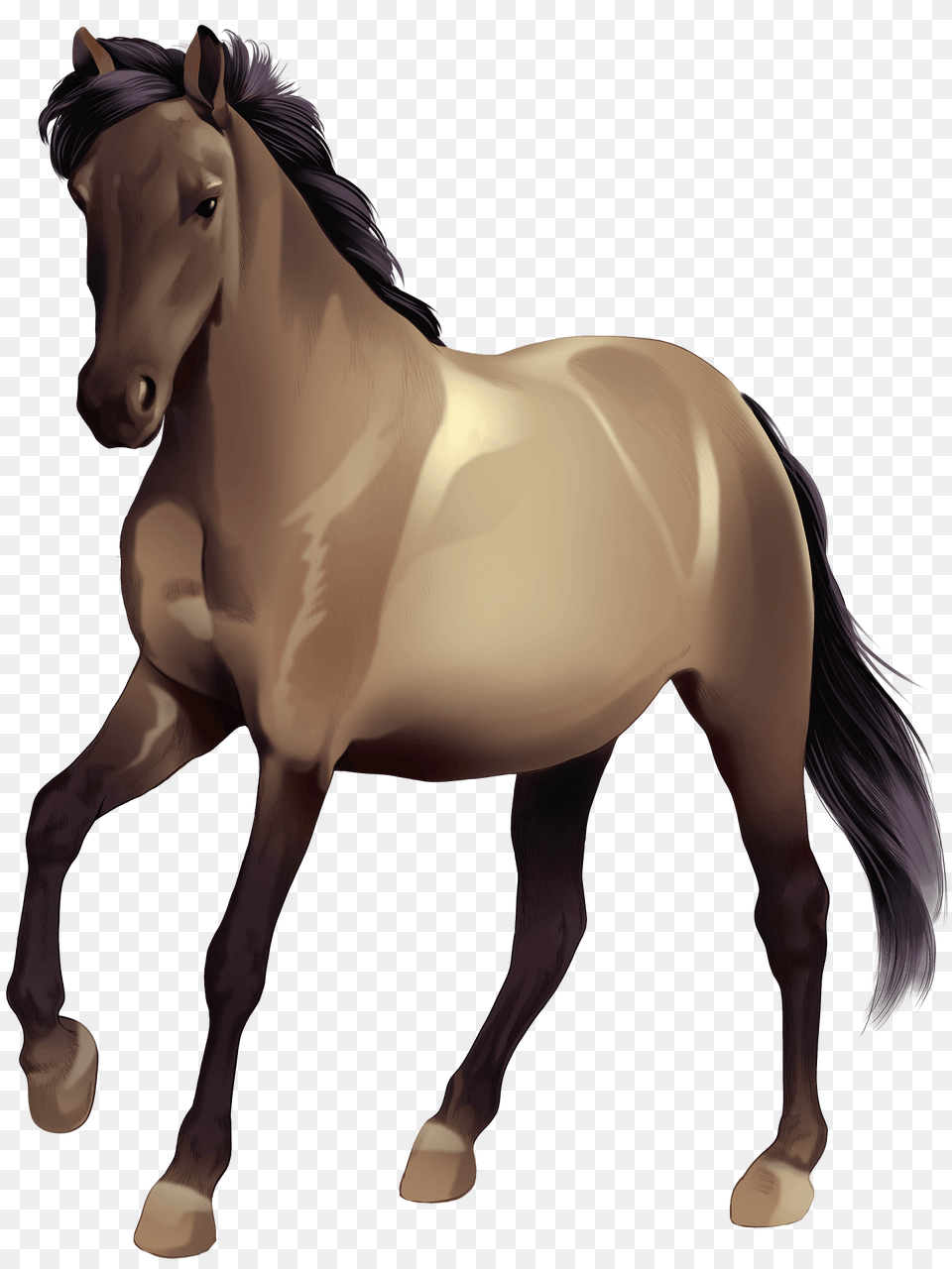 Spanish Mustang Clipart, Animal, Colt Horse, Horse, Mammal Free Png Download
