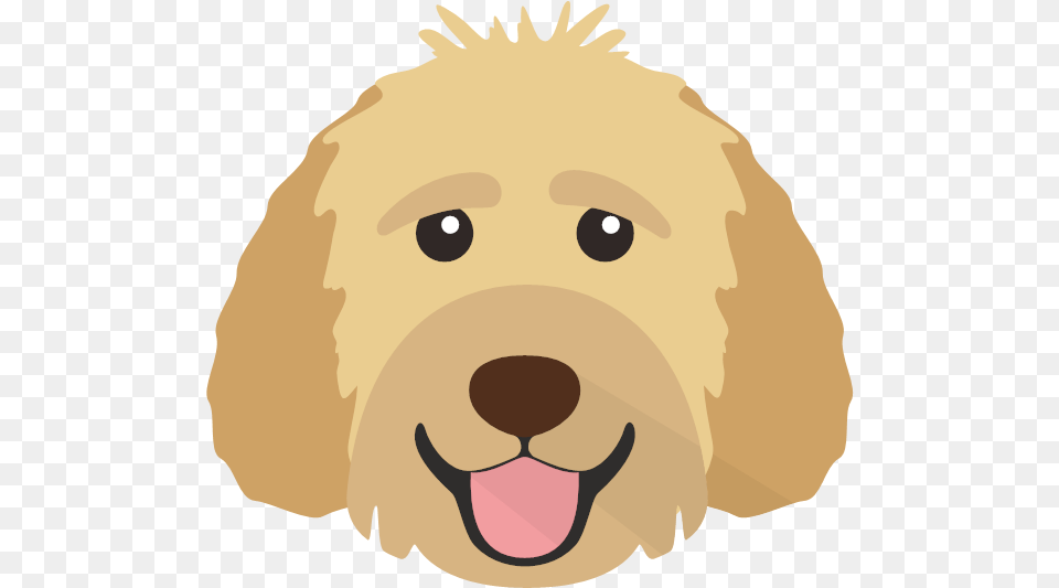 Spanish Water Dog Icon, Animal, Canine, Mammal, Baby Png