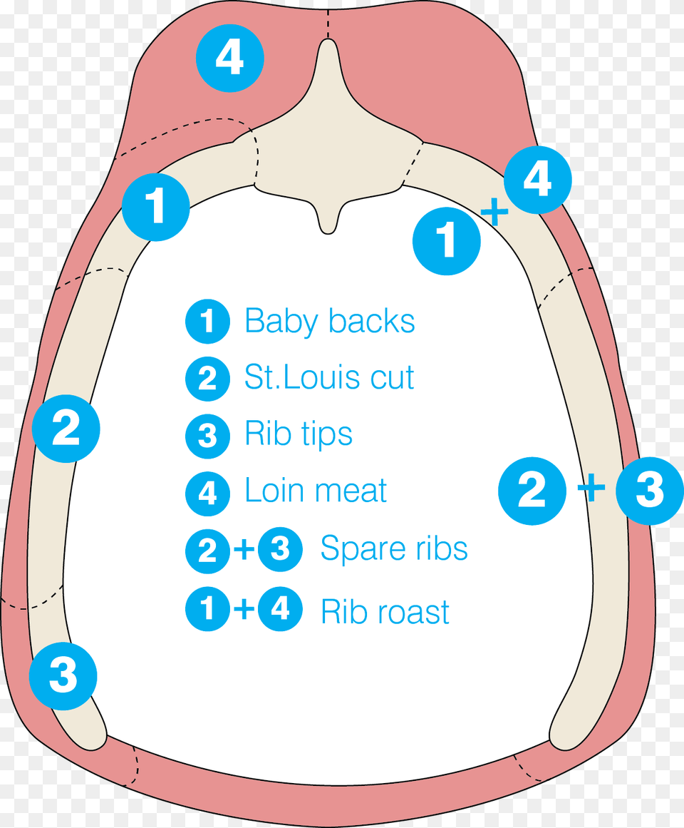 Spare Ribs Vs Baby Back Ribs A Diagram Pork Ribs Diagram, Body Part, Mouth, Person, Teeth Png Image