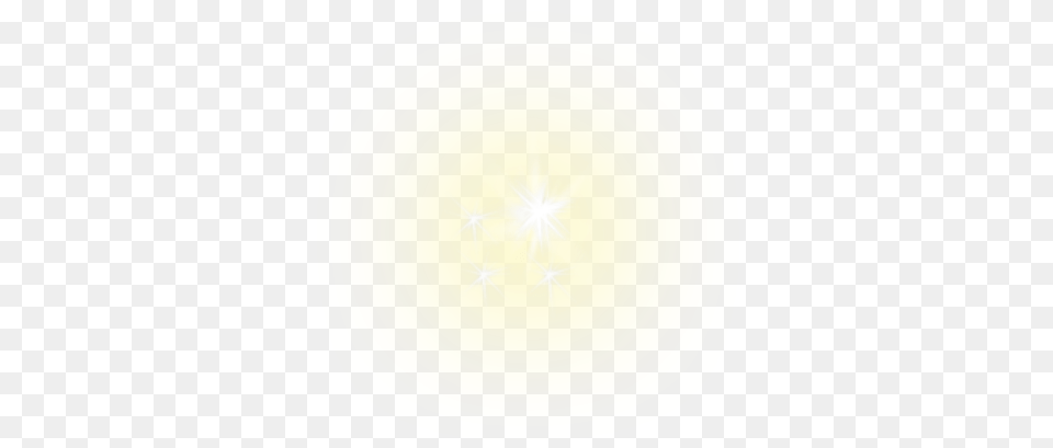 Sparkle Yellow, Plate, Flower, Plant Png
