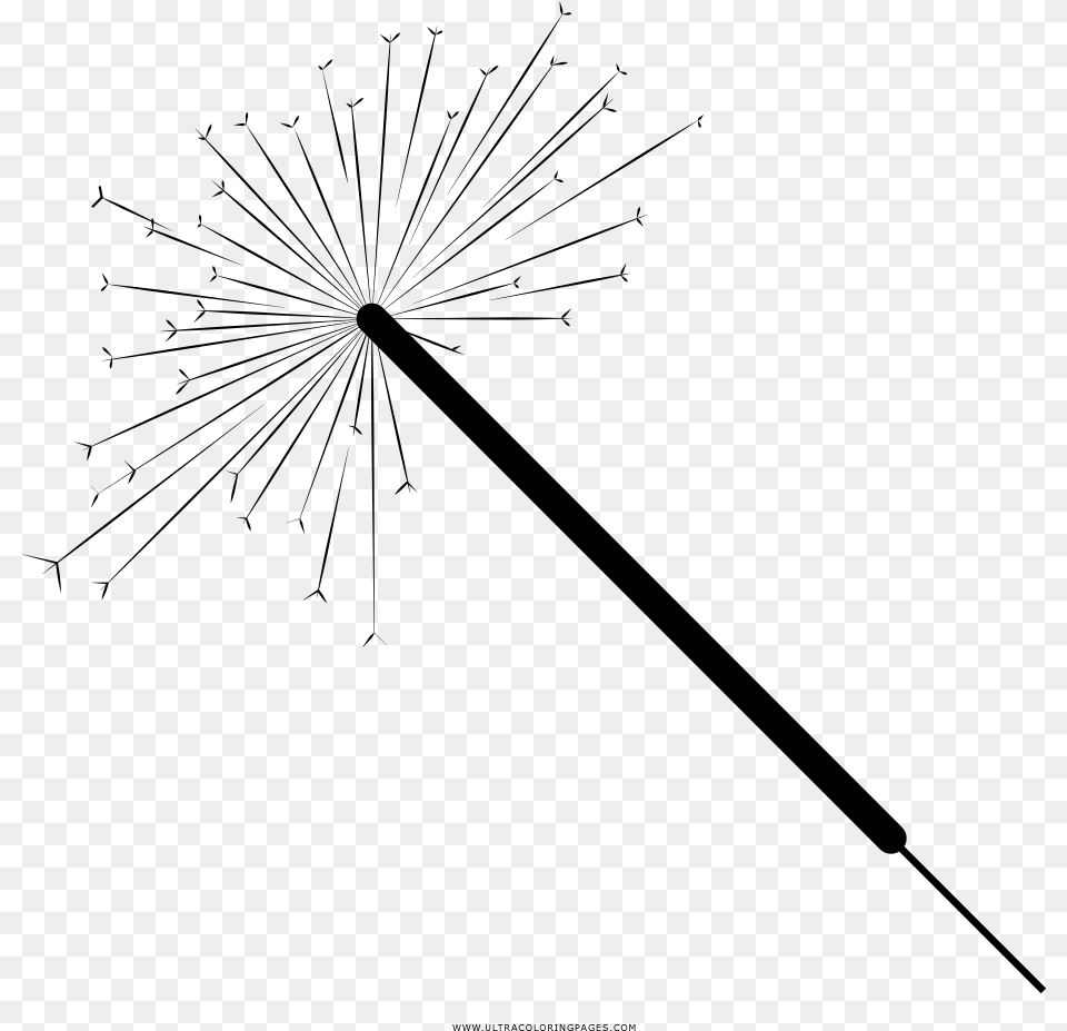 Sparkler Coloring, Gray Png Image
