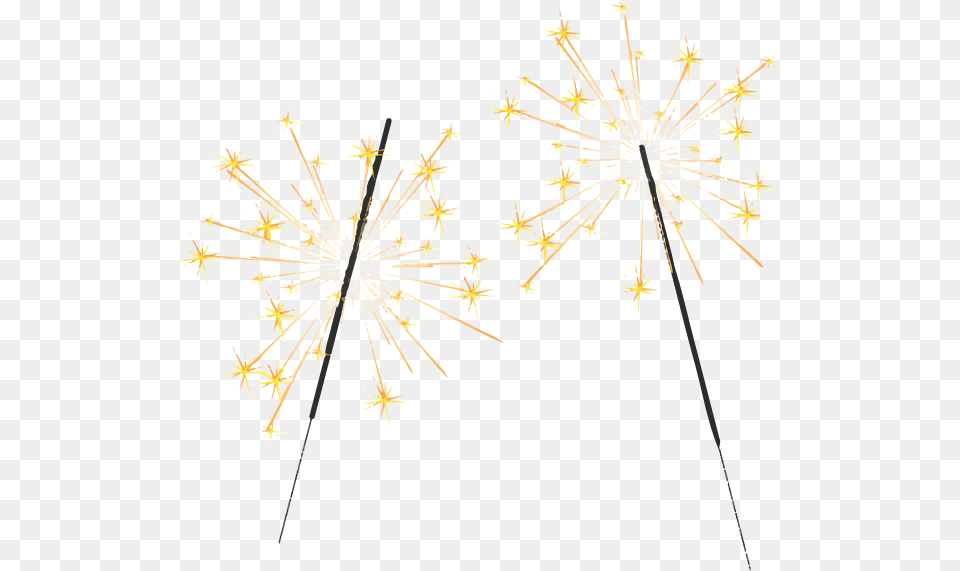 Sparklers, Plant, Flower, Fireworks, Nature Free Transparent Png