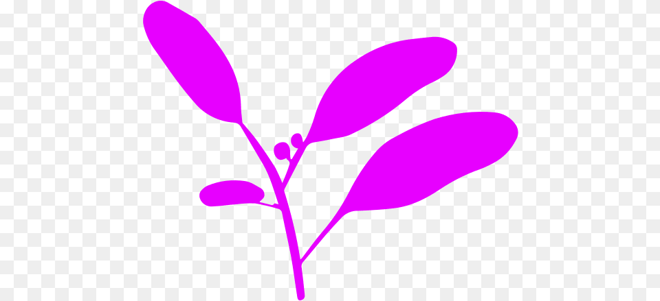 Sparklestroke U2013 Canva Girly, Flower, Leaf, Plant, Annonaceae Free Png