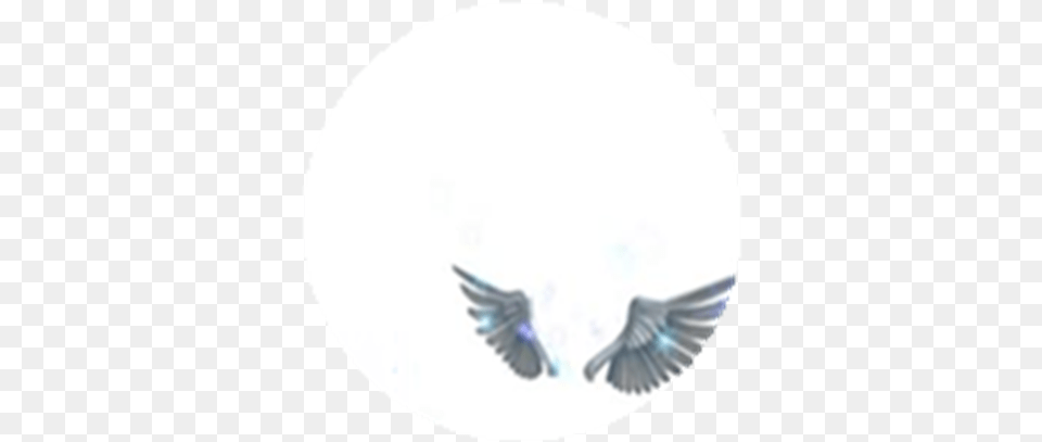 Sparkling Angel Wings Roblox Roblox Without Sign In Voice Chat, Animal, Bird, Pigeon, Dove Free Png