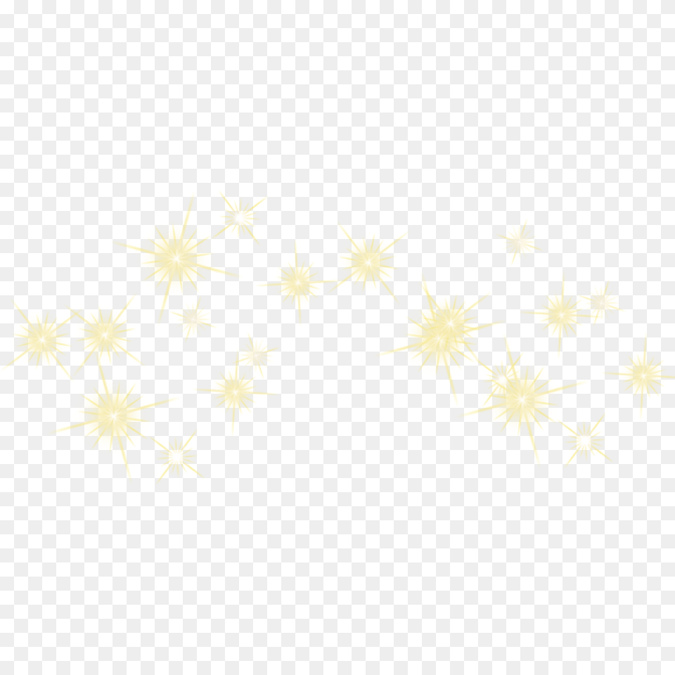 Sparkling Star Hd Motif, Flare, Light, Flower, Plant Png