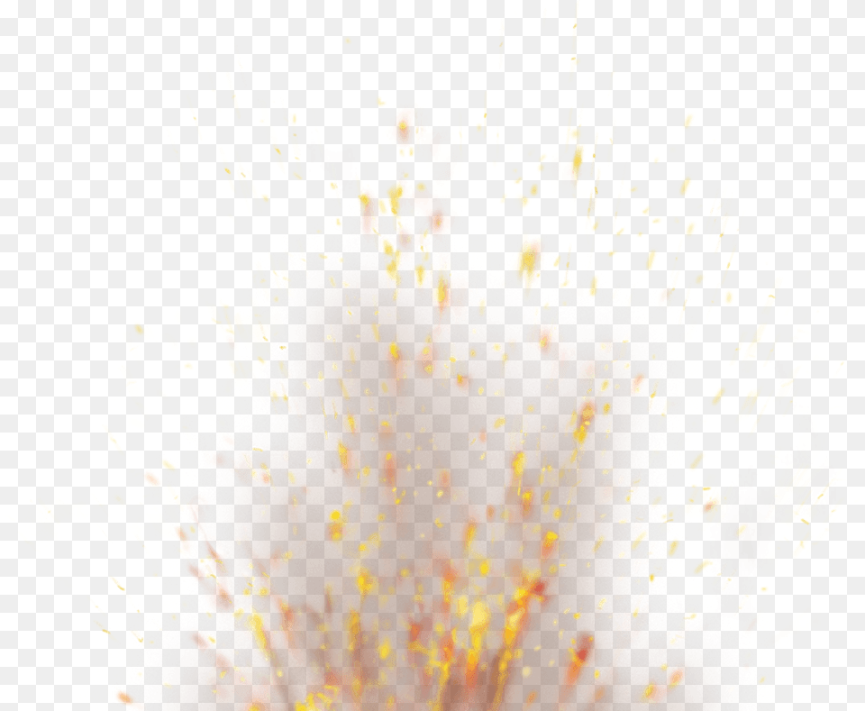 Sparks Arhangel Mihaila, Plant, Pollen, Fireworks, Chandelier Free Png