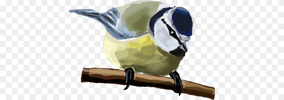 Sparrow Animal, Bird, Finch, Jay Free Png Download
