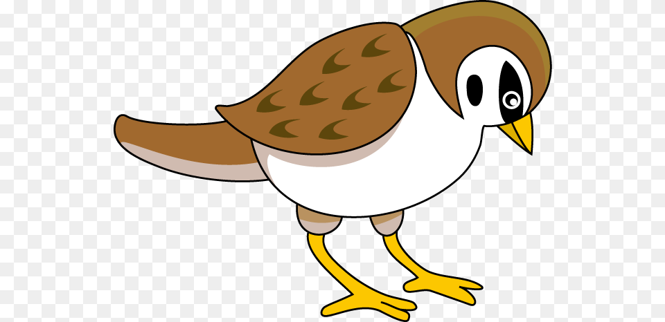 Sparrow, Animal, Bird, Finch, Beak Png