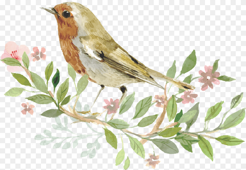 Sparrow Bird Watercolor Painting Bird Watercolor, Animal, Leaf, Plant, Finch Free Transparent Png
